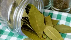 なぜキッチンの冷蔵庫の下に月桂樹の葉を置くのか：その答えを知っている人はほとんどいません。